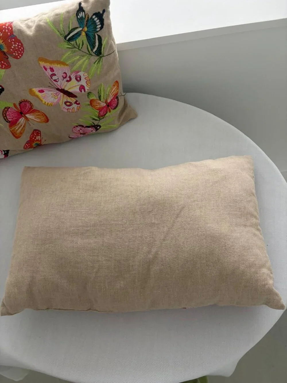 Zara Home Decorative Butterfly Throw Pillows Set of 2